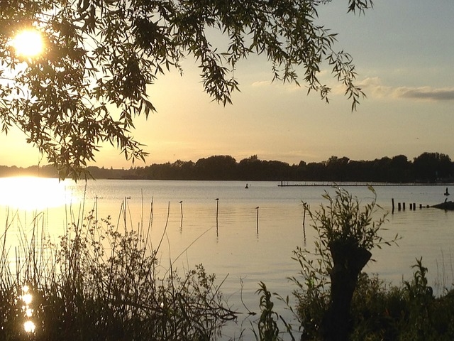 Ferienhaus Mecklenburgische Seenplatte