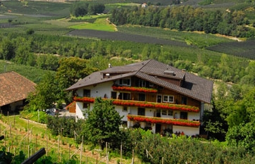 Pension Petaunerhof Schenna - Anbieter Petaun - Pension Nr. 111806