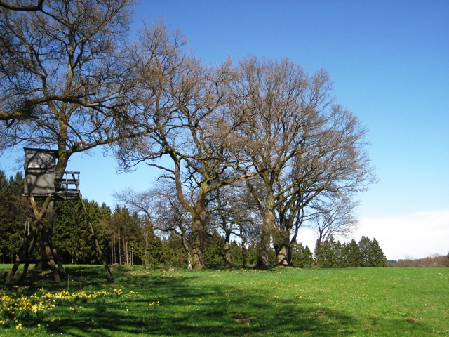 Ferienhaus Eifel