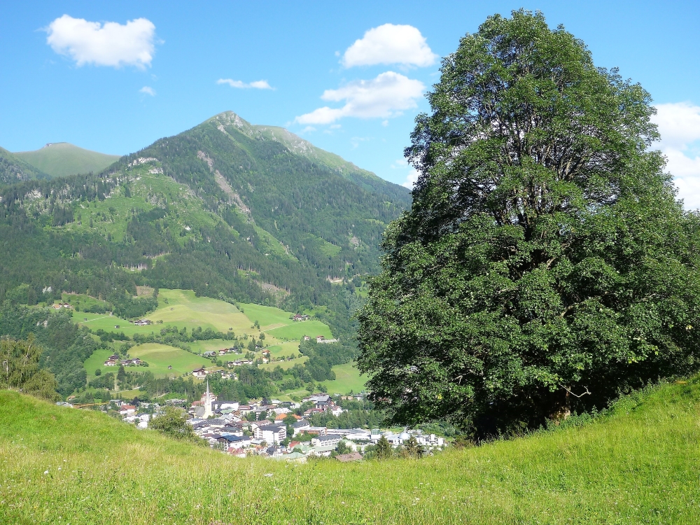 Ferienwohnung Bad Hofgastein