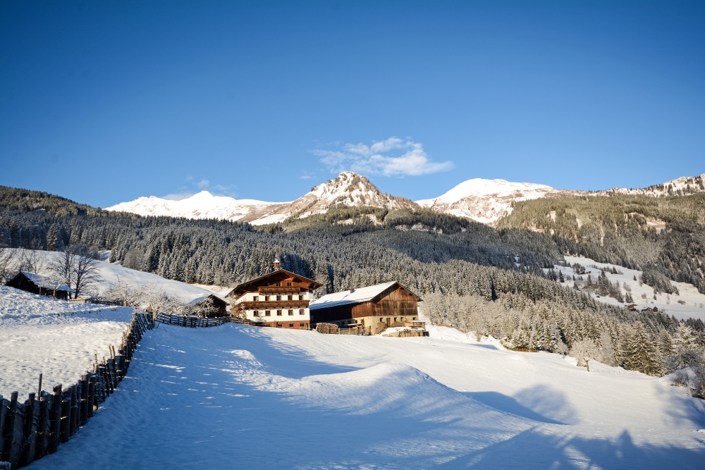 Ferienwohnung Biohof Maurachgut - Urlaub in den Bergen, Haus