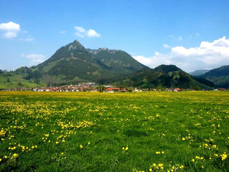 Ferienwohnung Allgäu