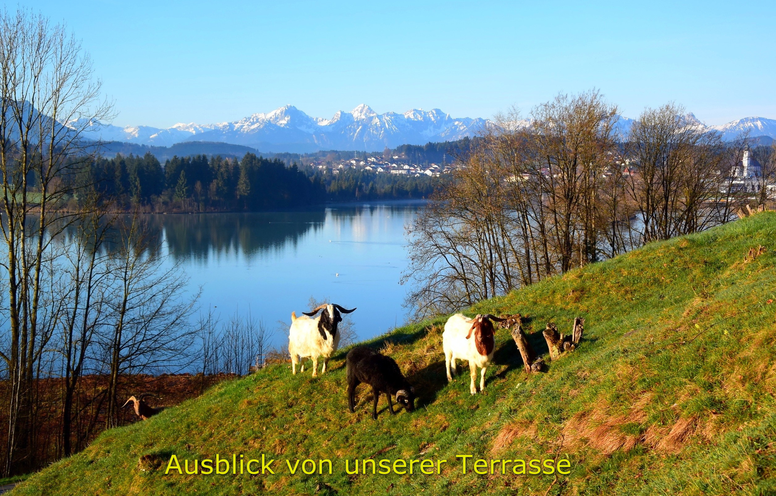 Ferienhaus Lechbruck am See