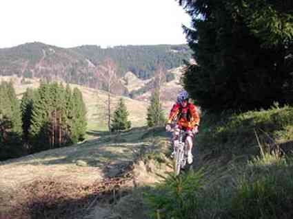 Ferienwohnung Harz