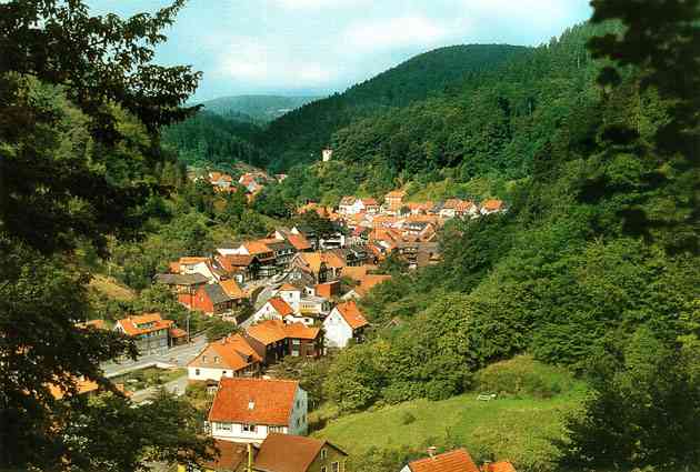 Ferienhaus Zorge Harz