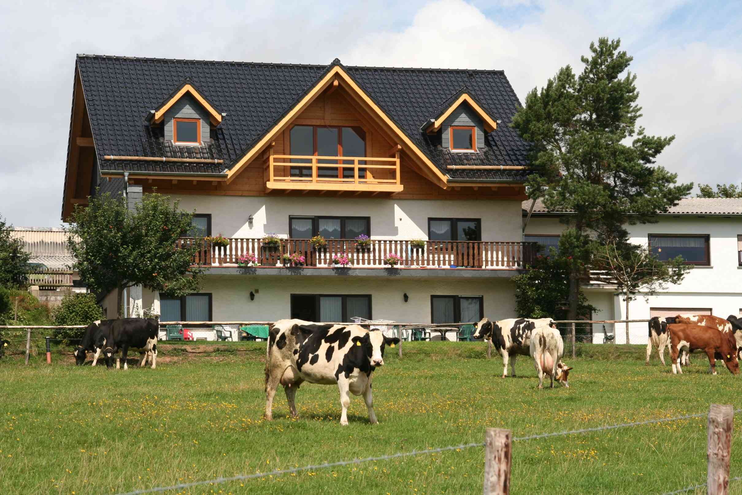 Ferienwohnung Heidehof Hermeling, Haus