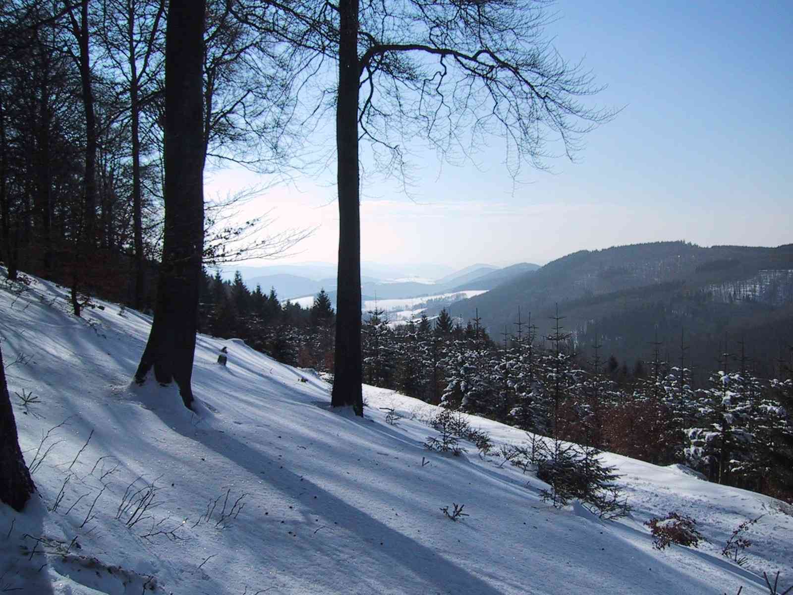 Ferienwohnung Winterberg