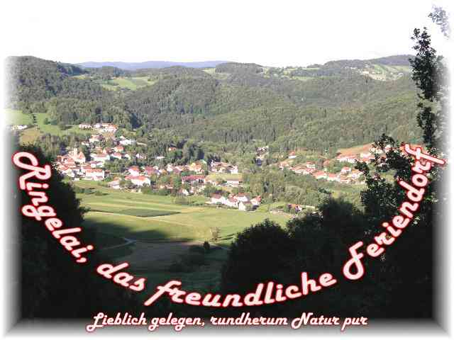 Ferienhaus Ringelai