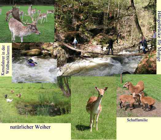 Ferienhaus Bayerischer Wald
