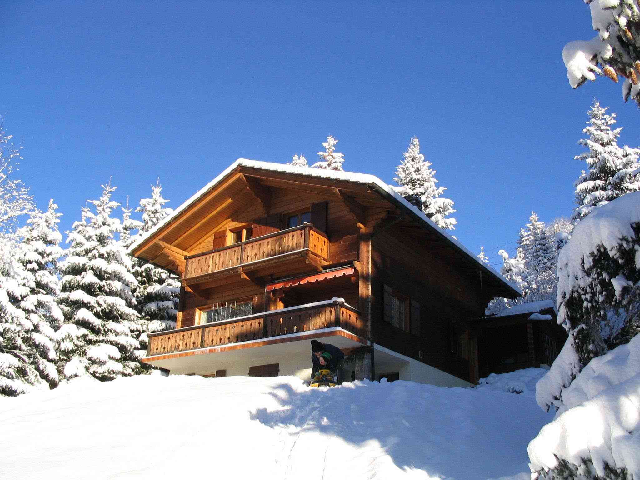 Chalet Les 2 Sapins