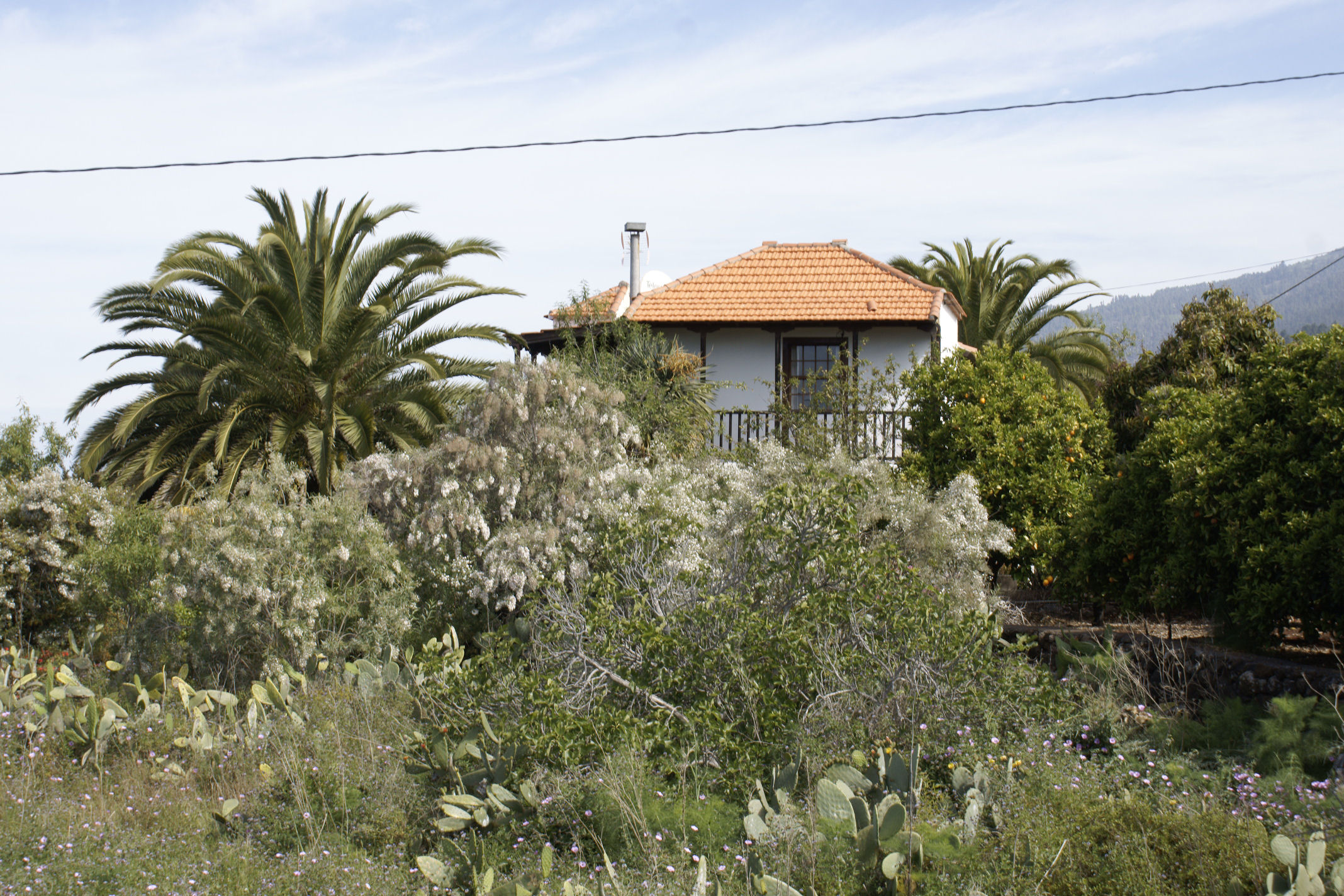 Ferienwohnung La Palma - Tijarafe Ortsteil La Punta