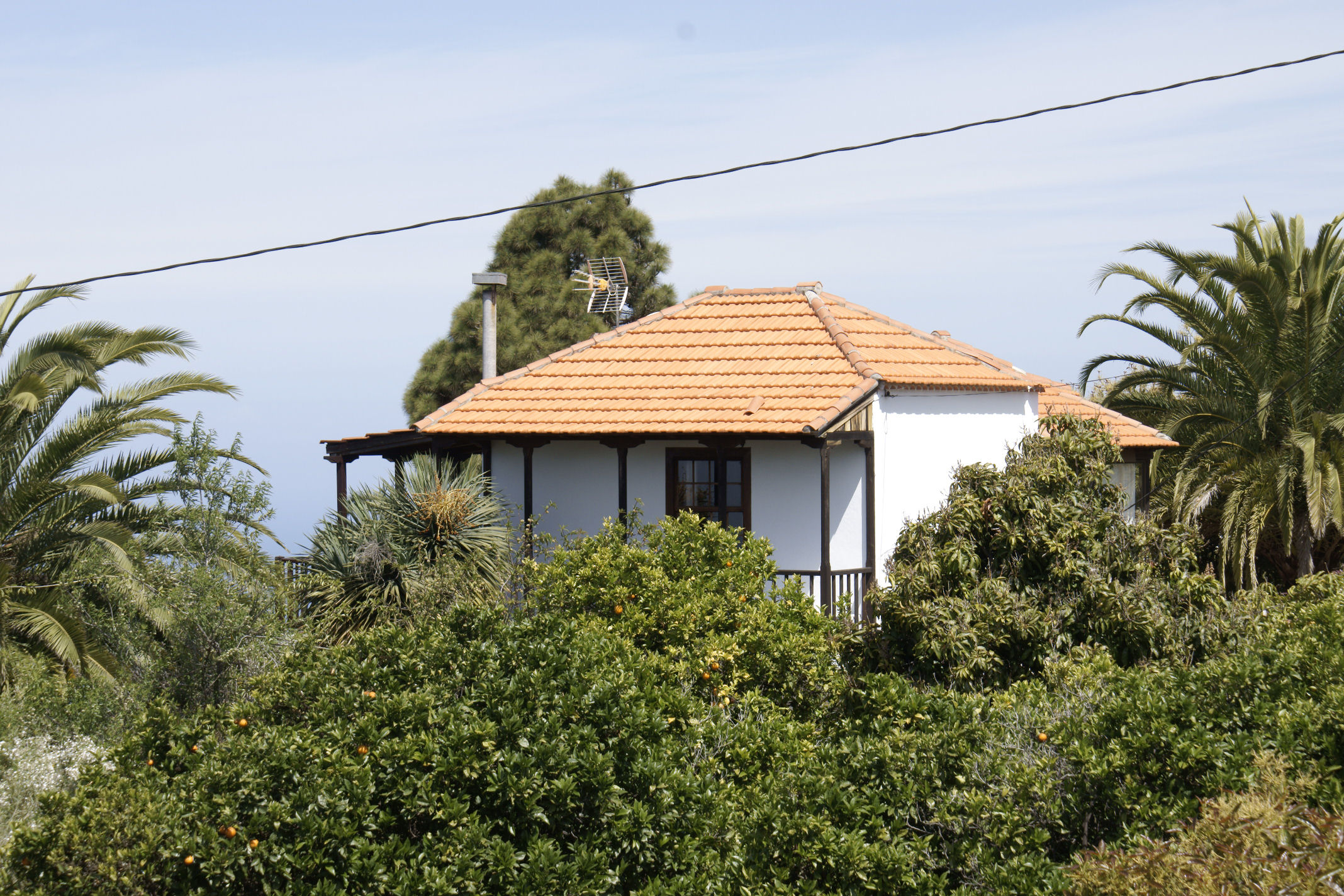 Ferienwohnung Casa Lucia II La Palma - Tijarafe Ortsteil La Punta - Carretera de la Costa 8 E 38780 La Palma - Tijarafe Ortsteil La Punta - Anbieter Familie v.Trützschler