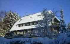 Ferienhaus Donau