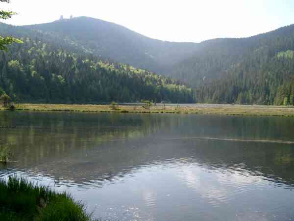 Ferienhaus Bayerischer Wald
