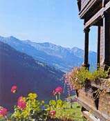 Hotel & Spa Haus Hirt - Hotel im Salzburger-Land