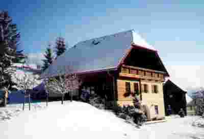 Appartement BIO Bauernhof - Appartement in der Steiermark