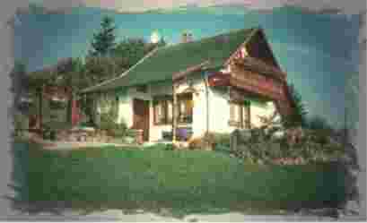 Traumblick - Ferienhaus im Thüringer-Wald