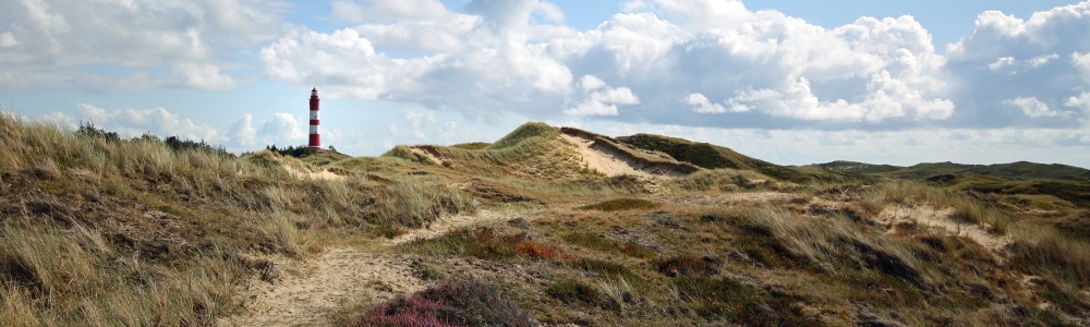 Urlaub auf Amrum