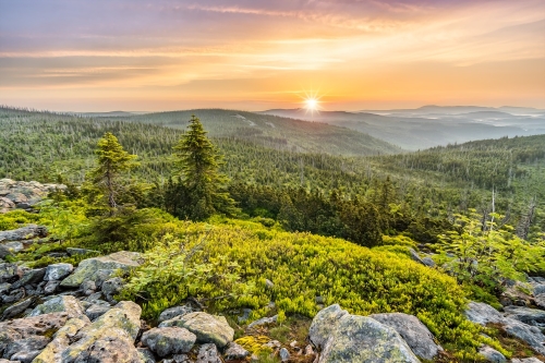 Ferienwohnungen und Ferienhäuser im Bayerischen Wald