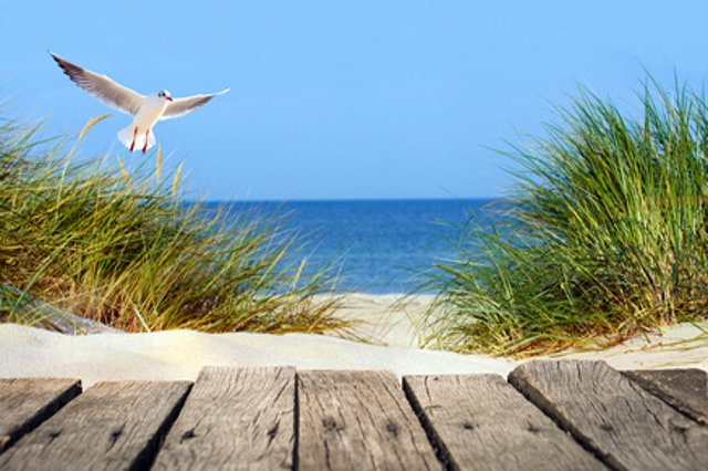 Ferienwohnungen und Ferienhäuser an der Ostsee