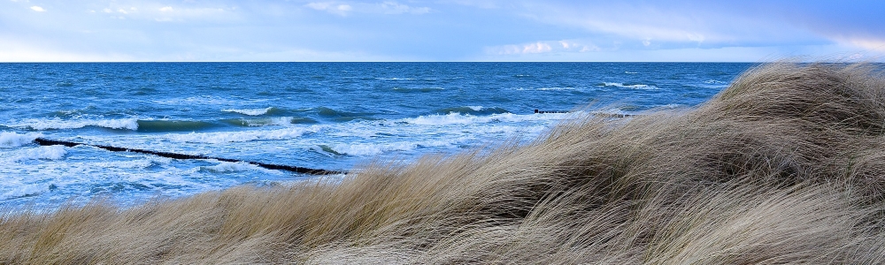 Urlaub in Dierhagen