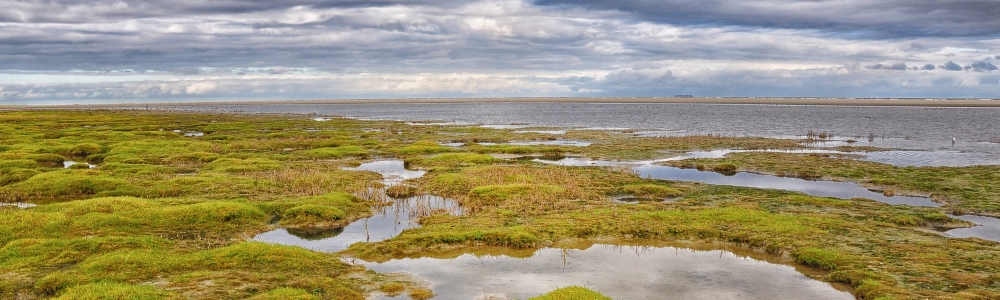 Urlaub in Insel Ameland