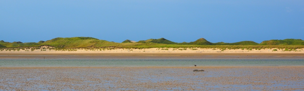 Urlaub auf Föhr