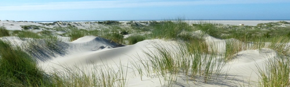 Urlaub auf Borkum