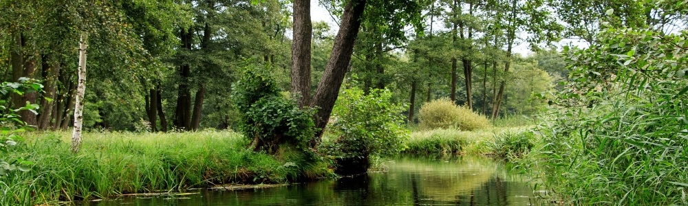 Urlaub im Kreis Dahme-Spreewald