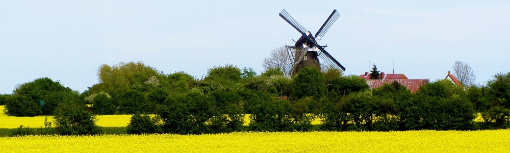 Urlaub auf Fehmarn