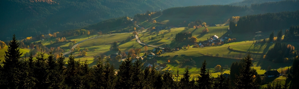 Urlaub in Hinterzarten