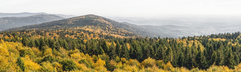 Urlaub im Kreis Deggendorf