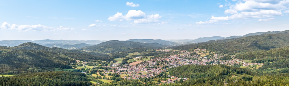 Urlaub im Kreis Regen