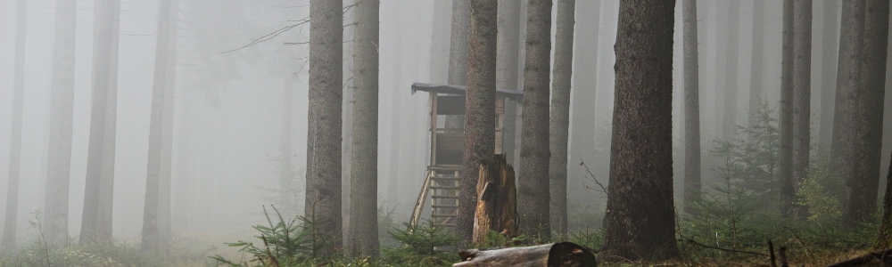 Urlaub im Kreis Main-Taunus-Kreis