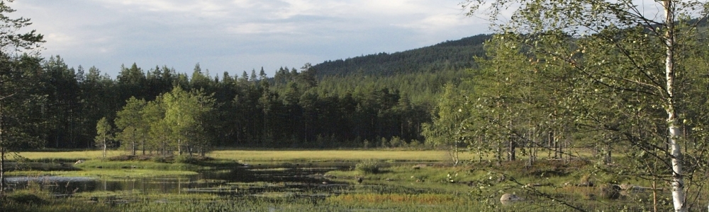 Urlaub im Värmland