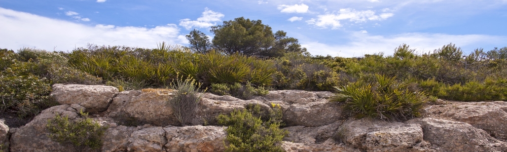 Urlaub in Alcossebre Castellon