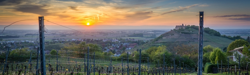 Urlaub in Bad Krozingen