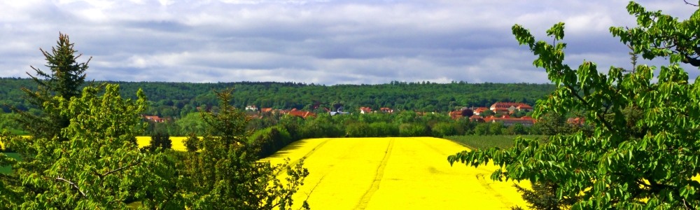 Urlaub in Ballenstedt