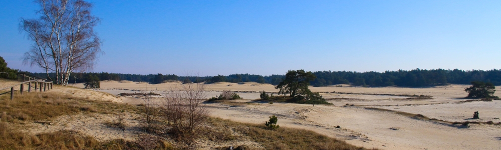 Urlaub in Harderwijk 