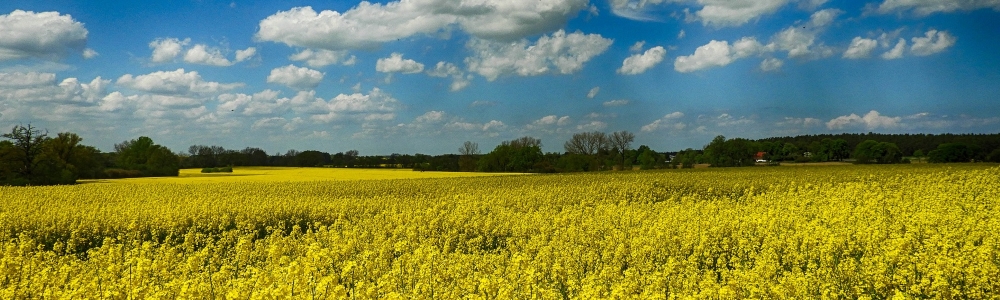 Urlaub im Kreis Nordwestmecklenburg