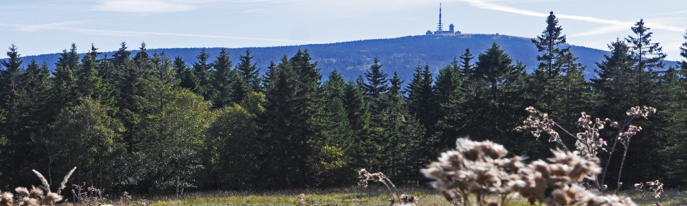 Urlaub im Oberharz