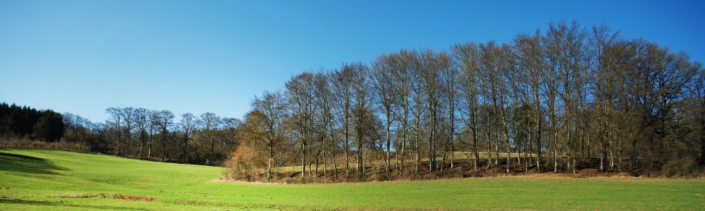 Urlaub in der Region Oberpfälzer Wald