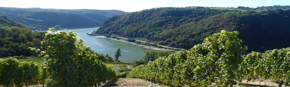 Urlaub in der Region Rheingau