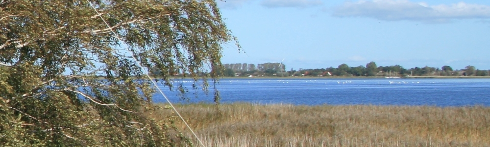 Urlaub in Ribnitz Damgarten