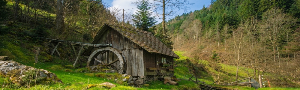 Urlaub im Schwarzwald