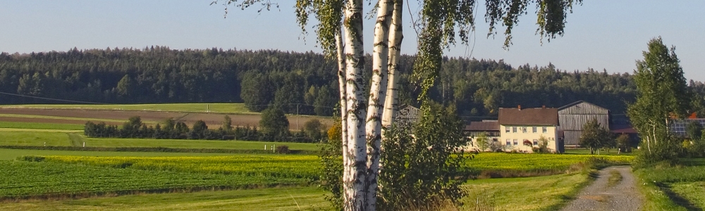 Urlaub in Waldsassen